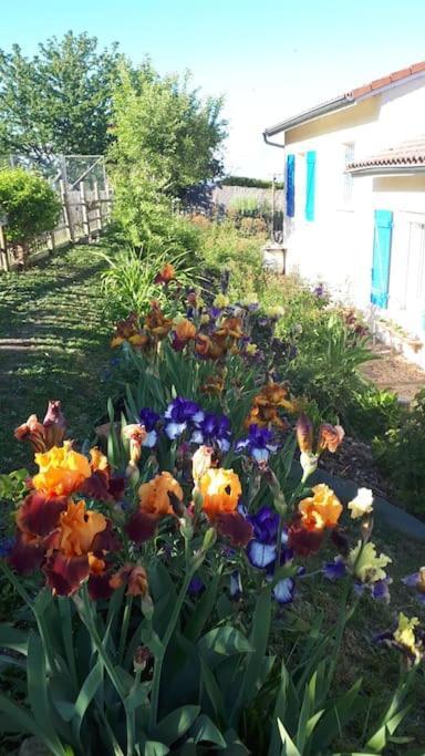 Maison 6 Personnes Holiday home